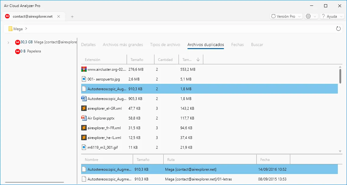 Duplicate groups and individual file paths in the light interface